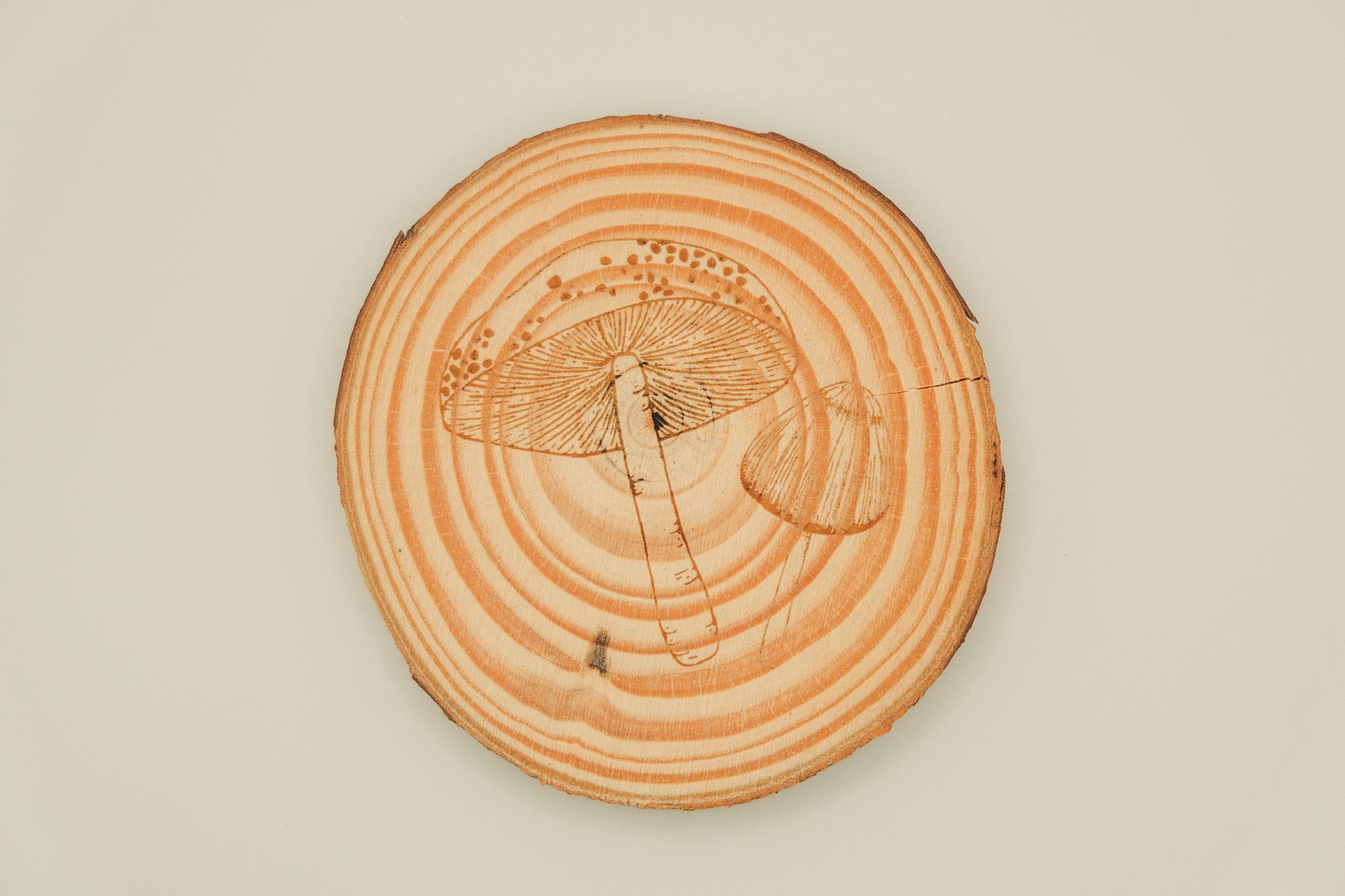 Chip - Pine Wood Coaster